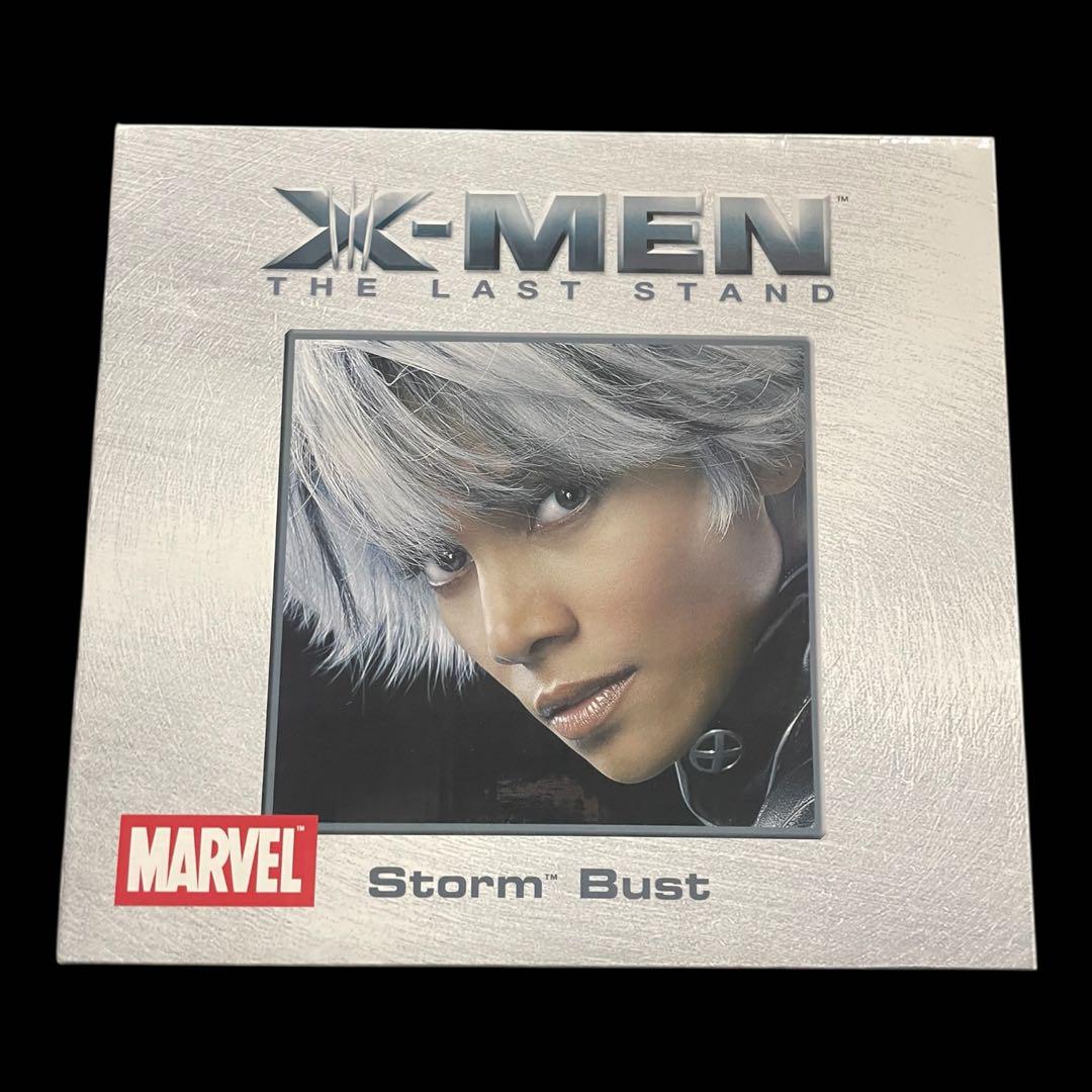 X-MEN THE LAST STAND Storm Bust