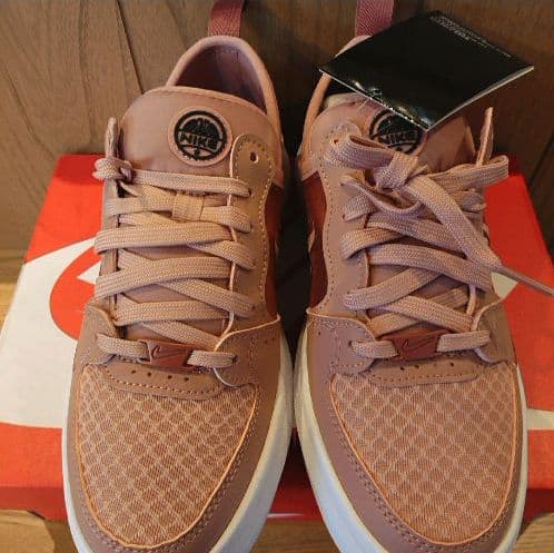 超格安一点 スニーカー Nike Cm 25 5 ライト レディース 可愛い ピンク スニーカー Brasscityraceway Com