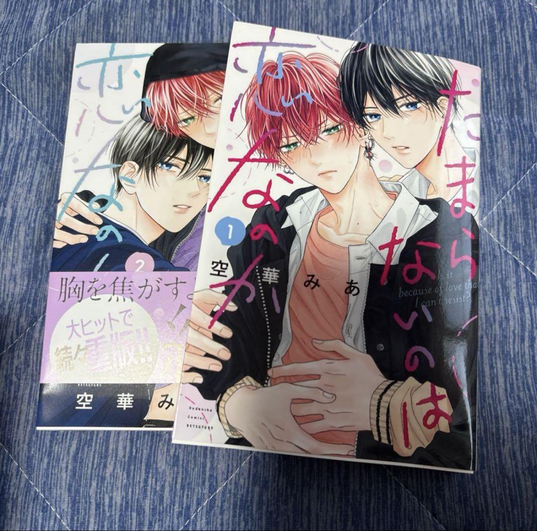 Shaymin出品　未熟な僕は支配を乞う 2 アニメイト特典付き