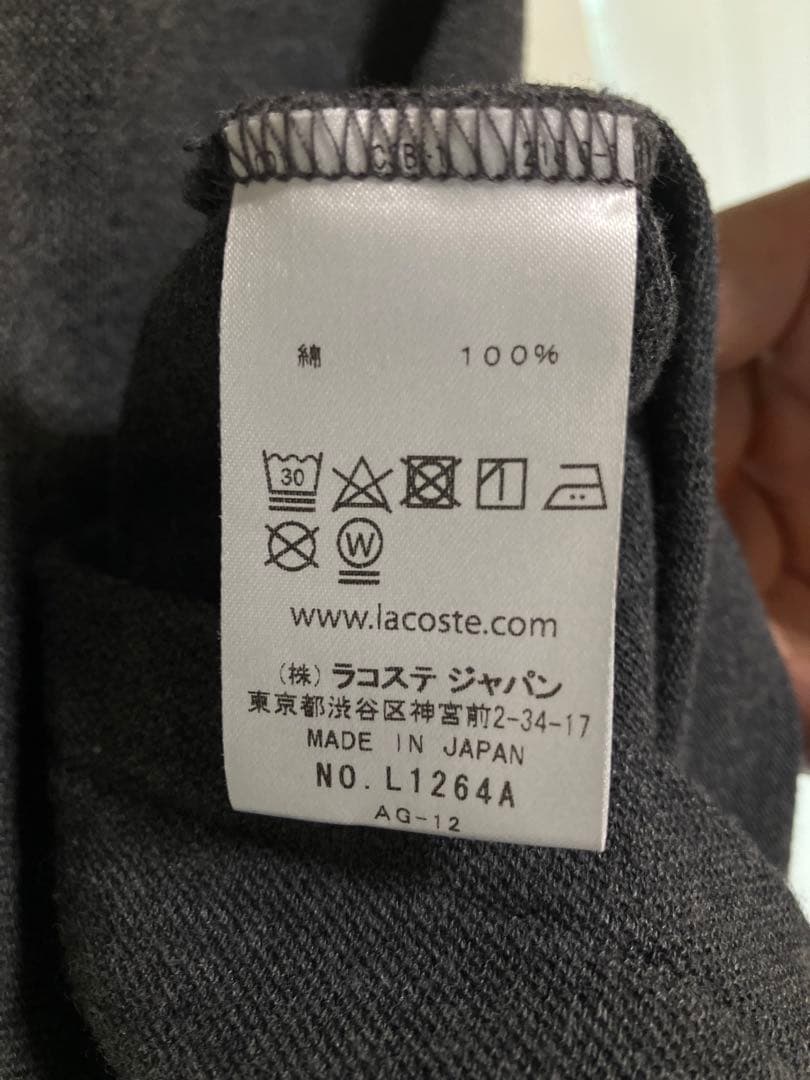 ラコステポロシャツ L1264A
