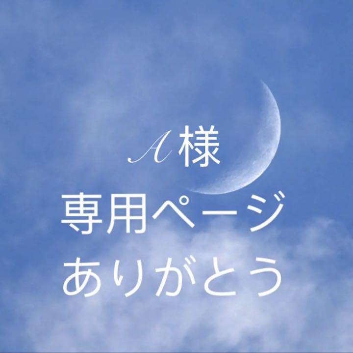 A様専用ページ