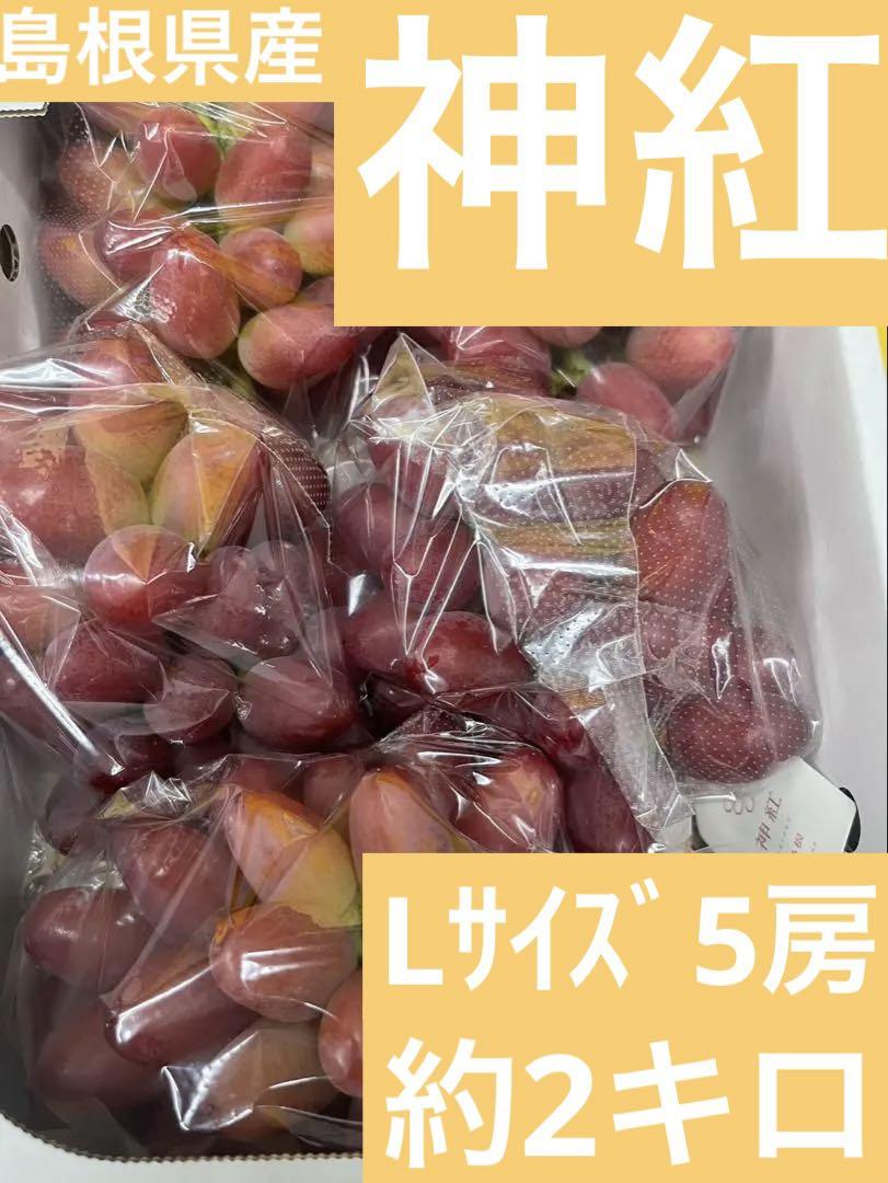 ⑤ 【島根県産】神紅(しんく)ぶどう 約2キロLサイズ(5房)