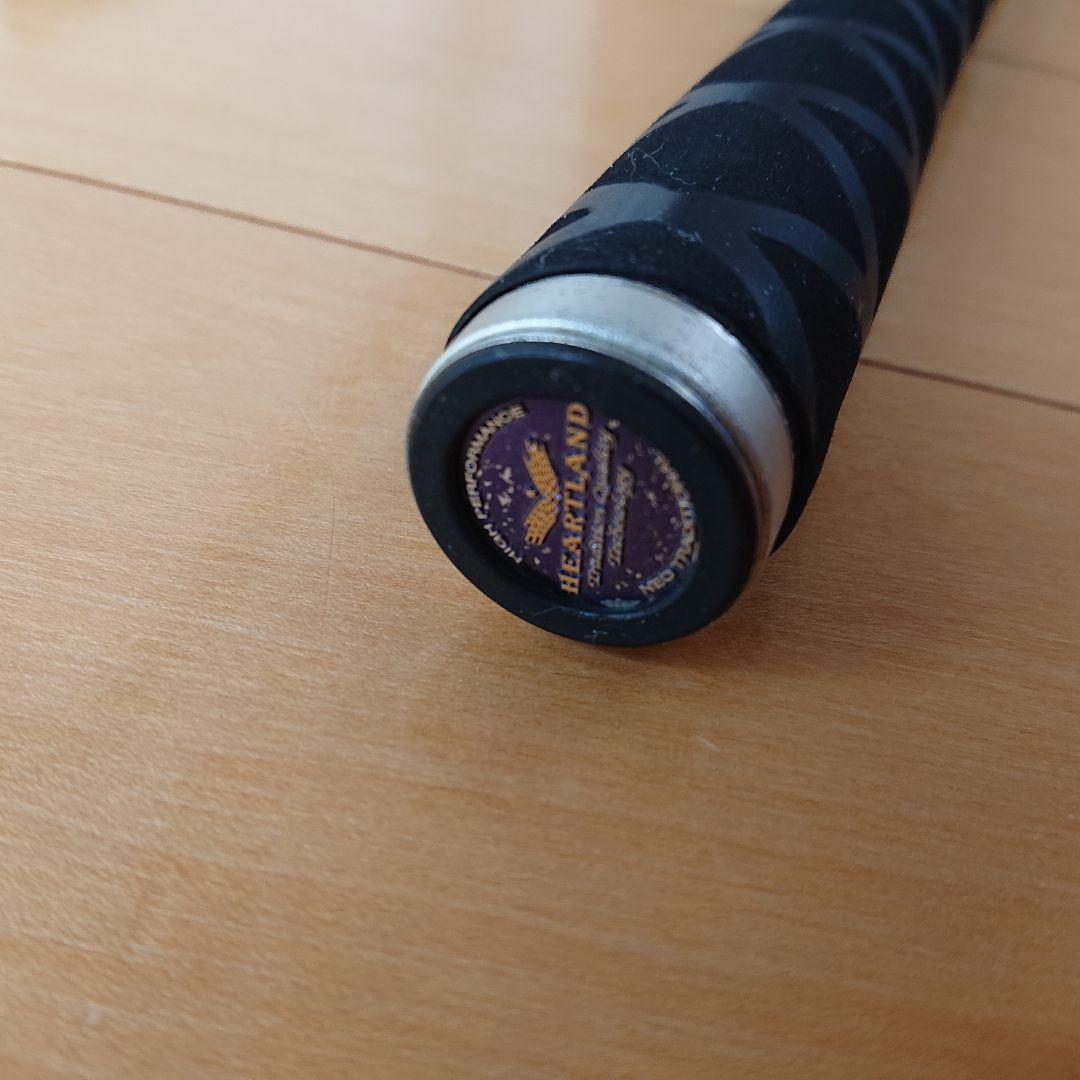 ダイワ(Daiwa) ハートランドZ 6101MLFS-SV 冴掛-SAEGAKE