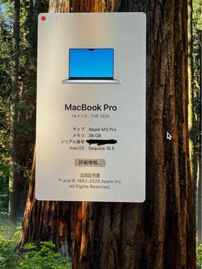 カ*キ様 Apple MacBook Pro 14インチ M3 Pro 36GB