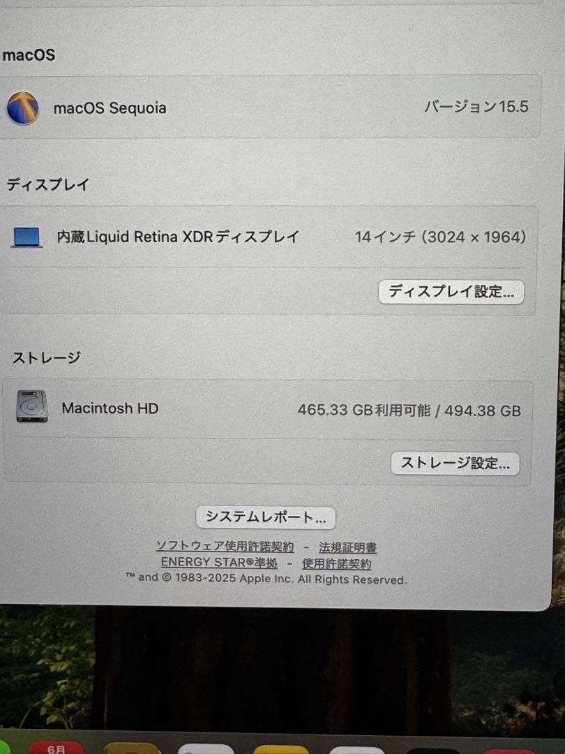 カ*キ様 Apple MacBook Pro 14インチ M3 Pro 36GB