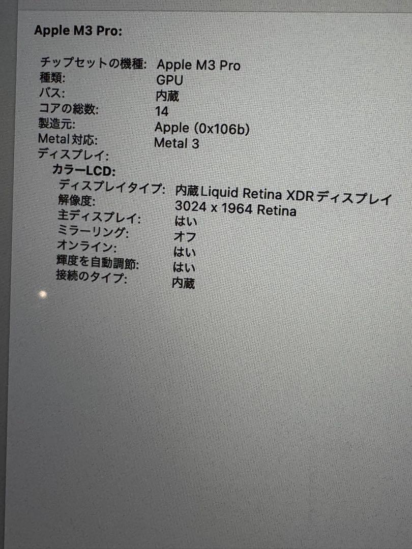 カ*キ様 Apple MacBook Pro 14インチ M3 Pro 36GB