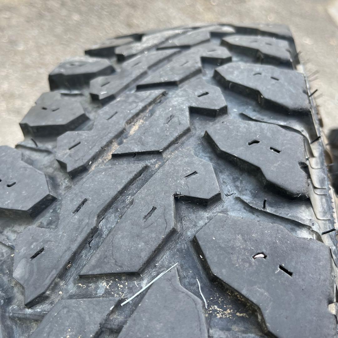 ジオランダーM T