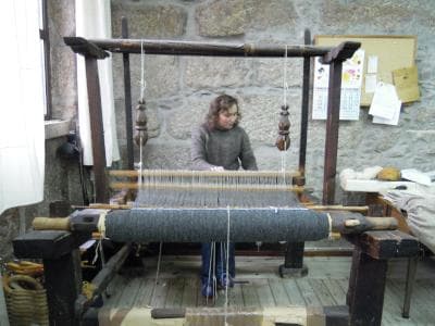 bighug カプチーニャ