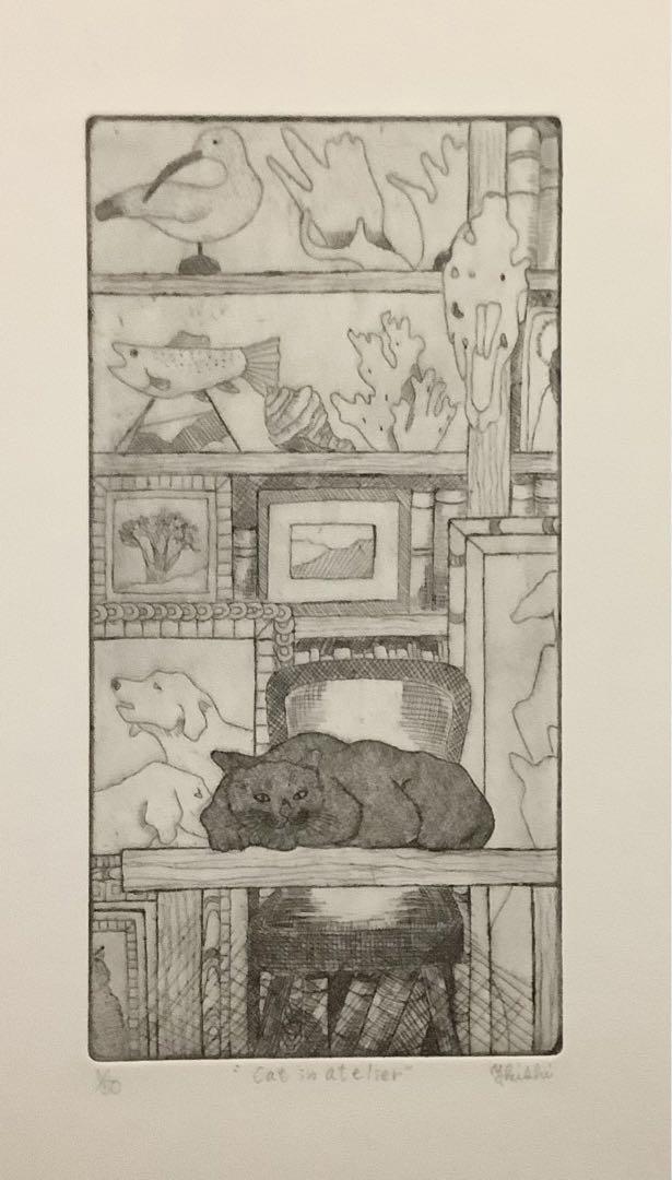 Cat in atelier