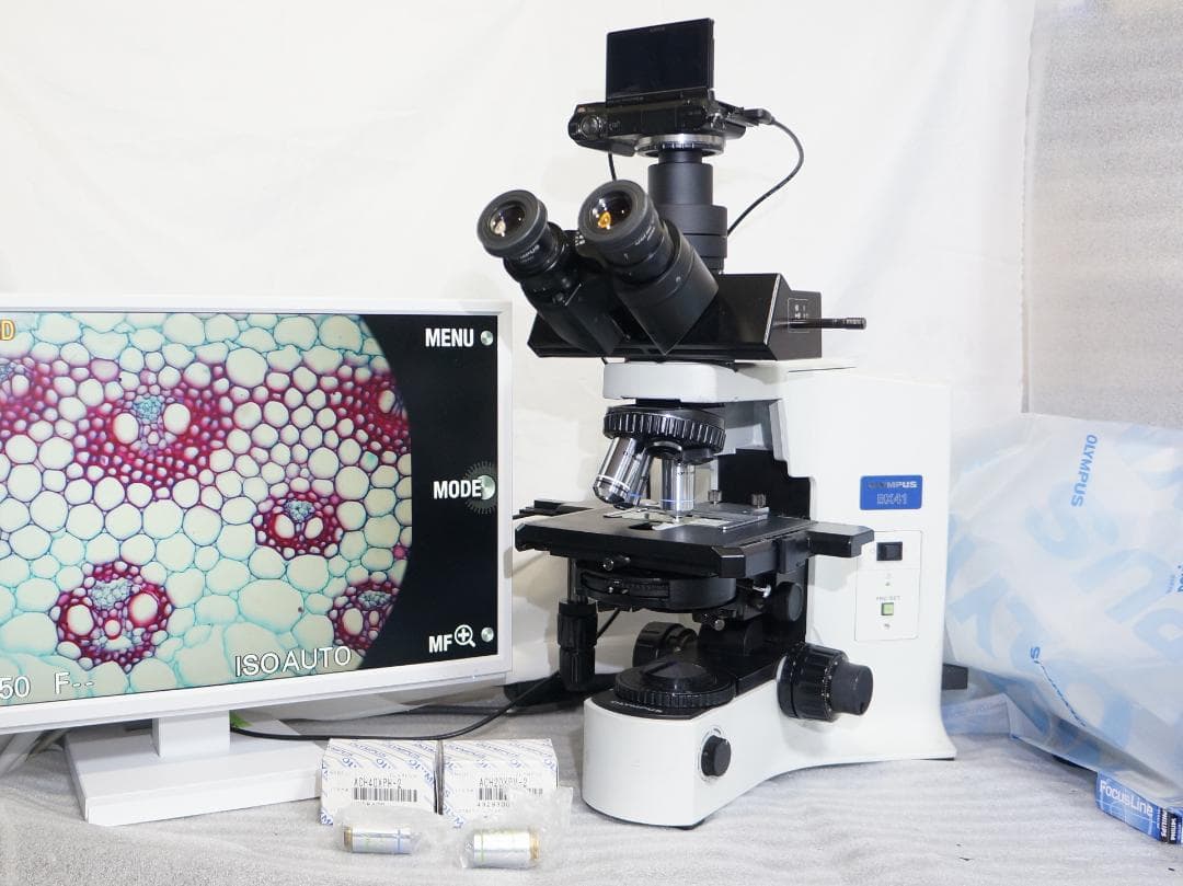 対物レンズ5本 位相差観察可
