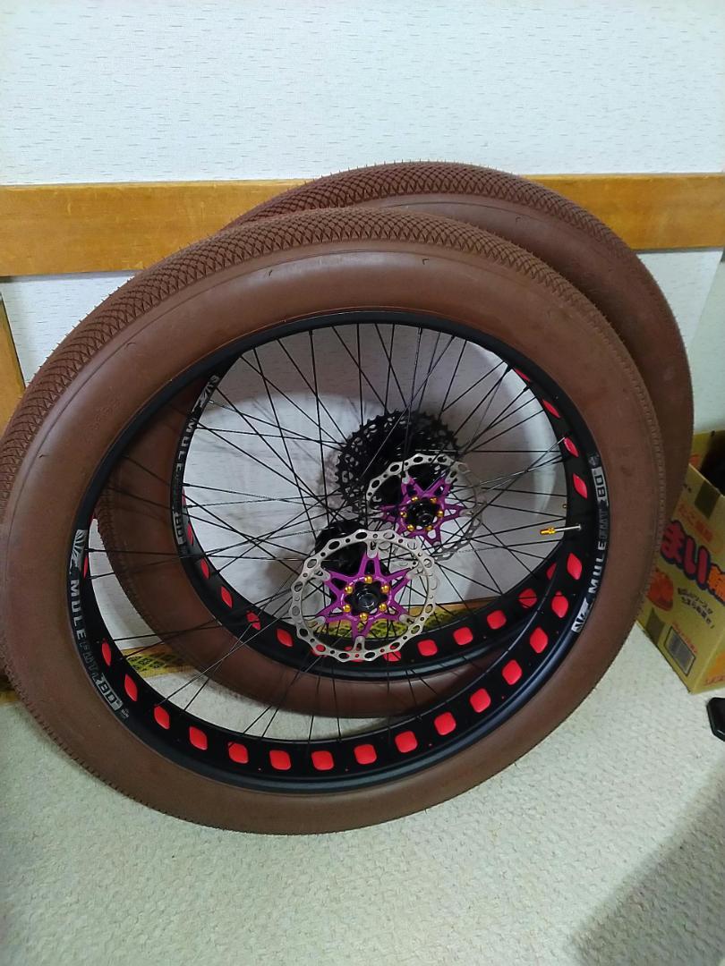 サルサ ベアグリース