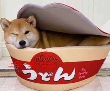 泡麺犬窩柴犬網紅と同じ種類の泡麺猫窩敷式うどんカップ麺INS風ペット0