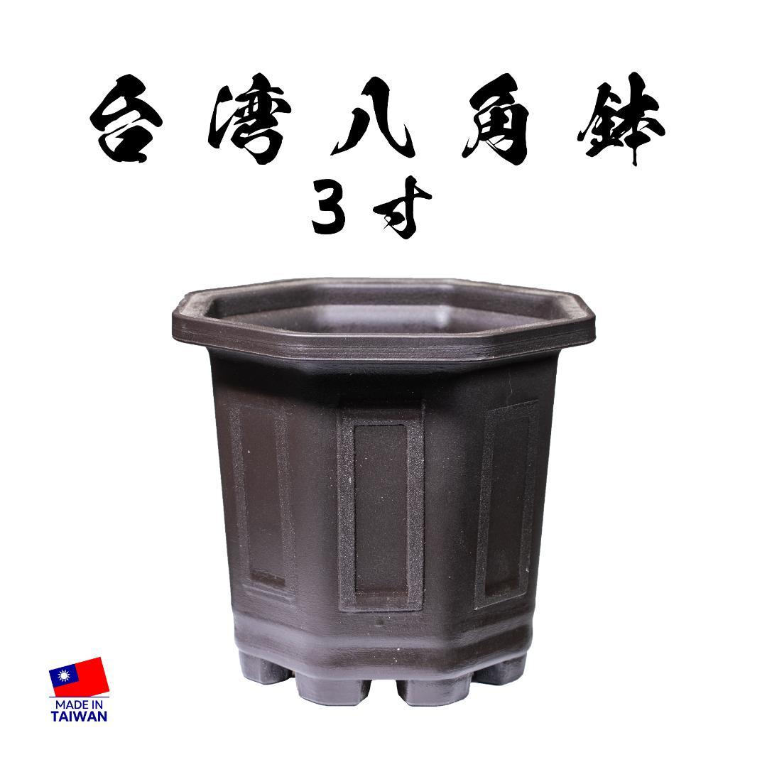 新品　台湾八角鉢　5寸3寸　各10個ずつ　Agave鉢 ALCO | アガベラバーズカンパニー | 台湾八角鉢5寸の販売を開始