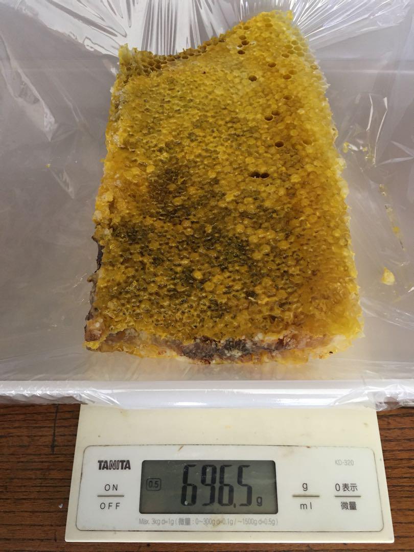 【天然】日本蜜蜂の巣蜜　　本物志向の方専用