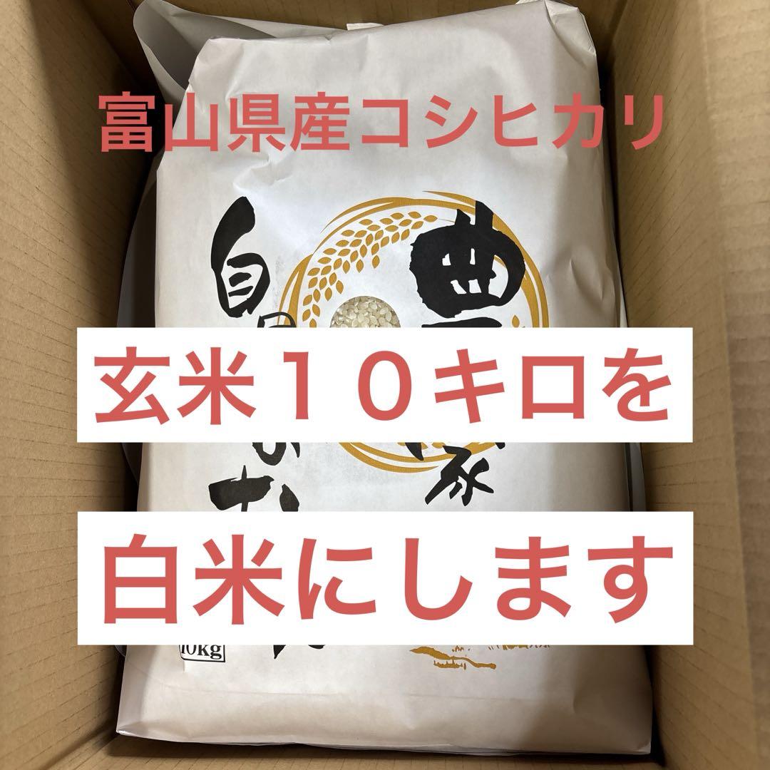 富山県産　玄米　１０キロ 営農ワイエムアイ / 〔令和6年産〕富山県産てんたかく 玄米10kg