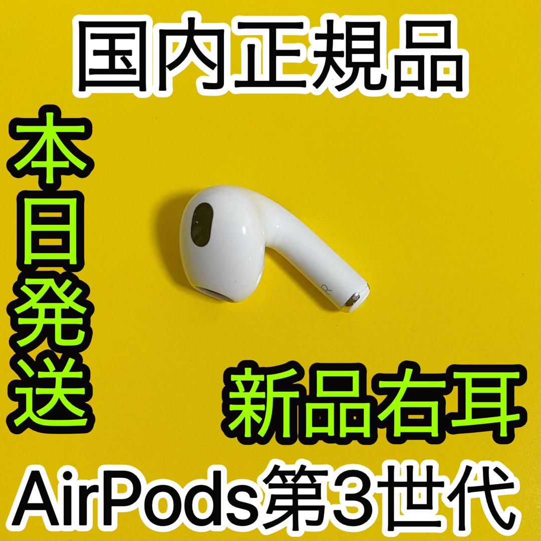 エアーポッズプロ　第一世代　充電ケース　AirPodsPro Apple 新品
