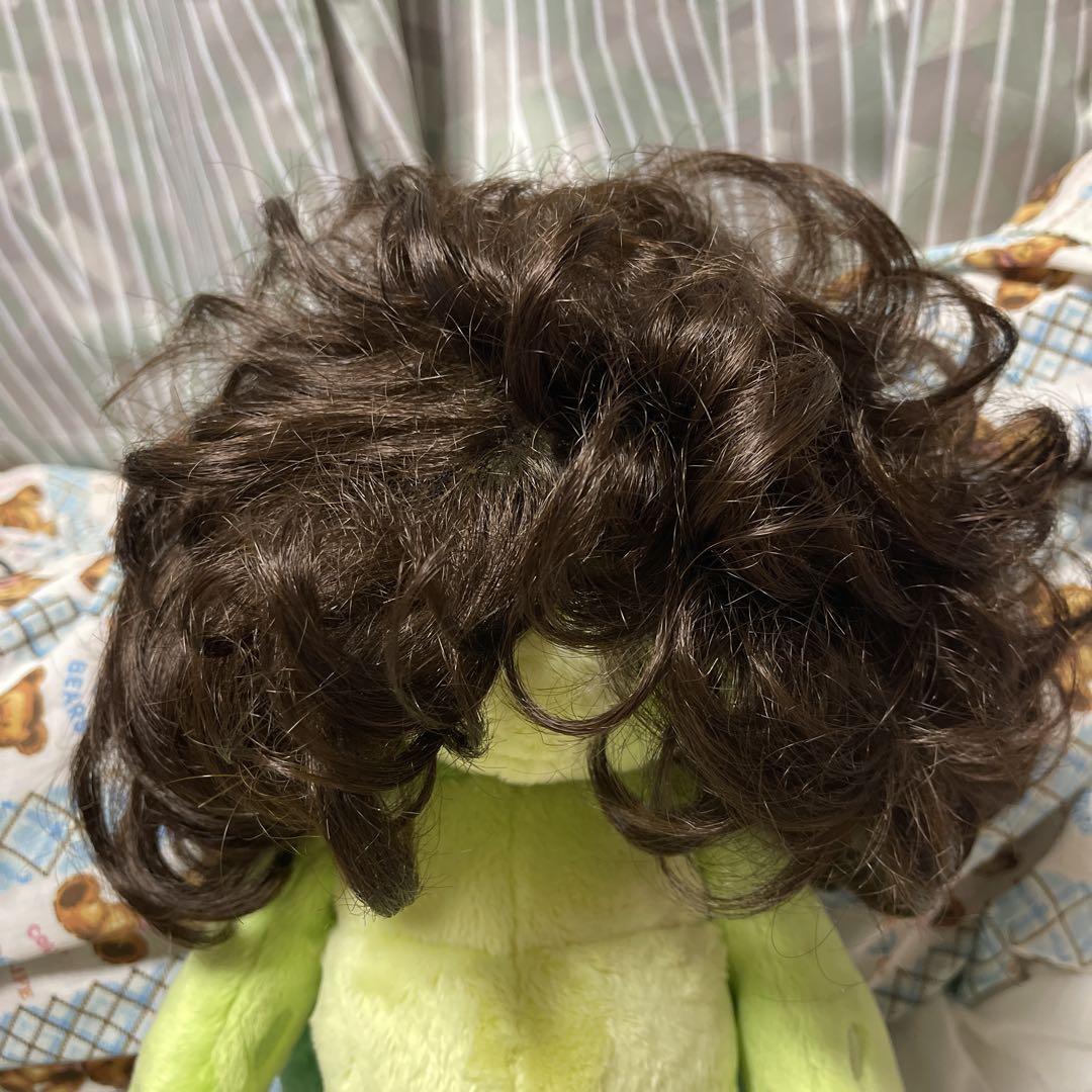 AQUADOLL VENUS ウィッグ 女性 ロング カール パーマ 自然 医療
