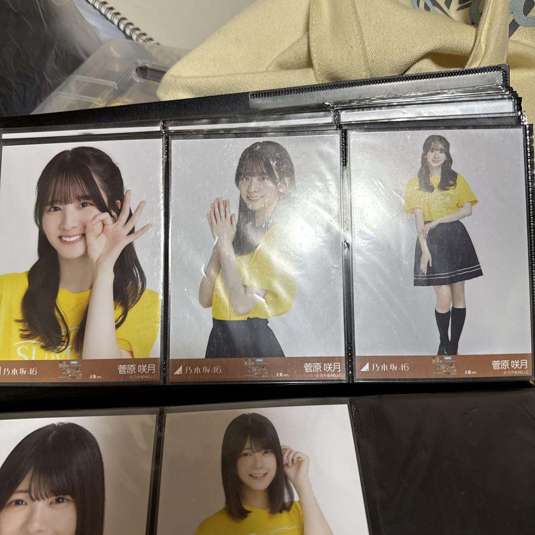 乃木坂46 菅原咲月 全ツ2025 大阪 Ｔシャツ 、ドット 生写真 コンプ 乃木坂46 菅原咲月 ドット 生写真 コンプ - メルカリ