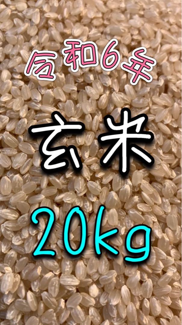 玄米 20キロ 送料無料