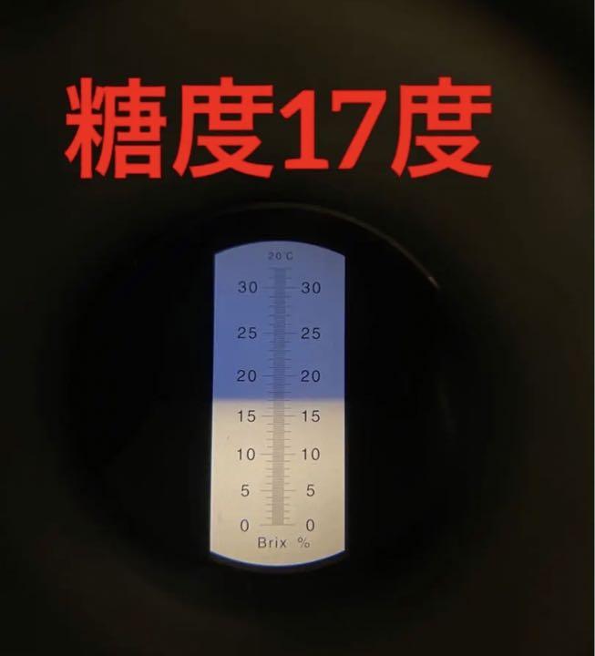 めっちゃお得 D品 激安通販専門店 めっちゃお得 D品 激安通販専門店