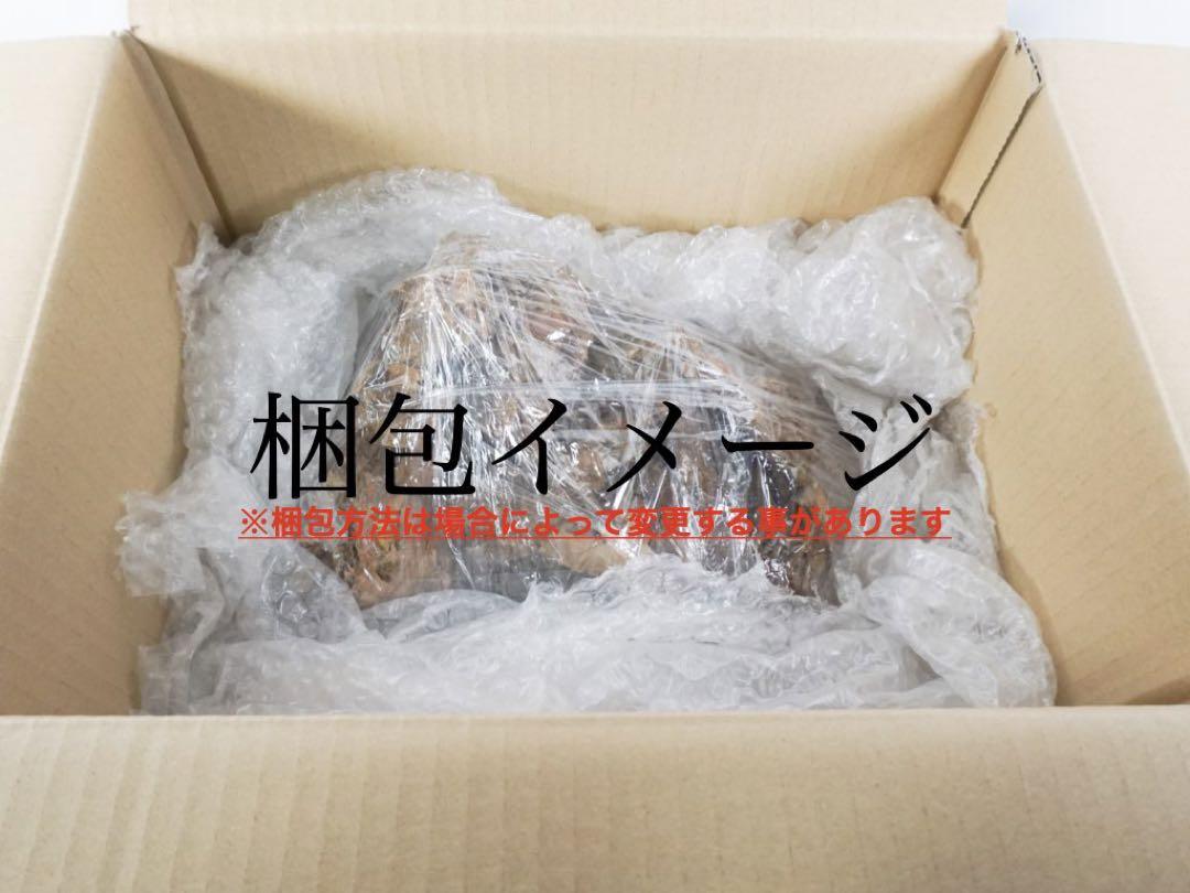 爬虫類用　本格派ロックシェルター(レオパ　ニシアフ)