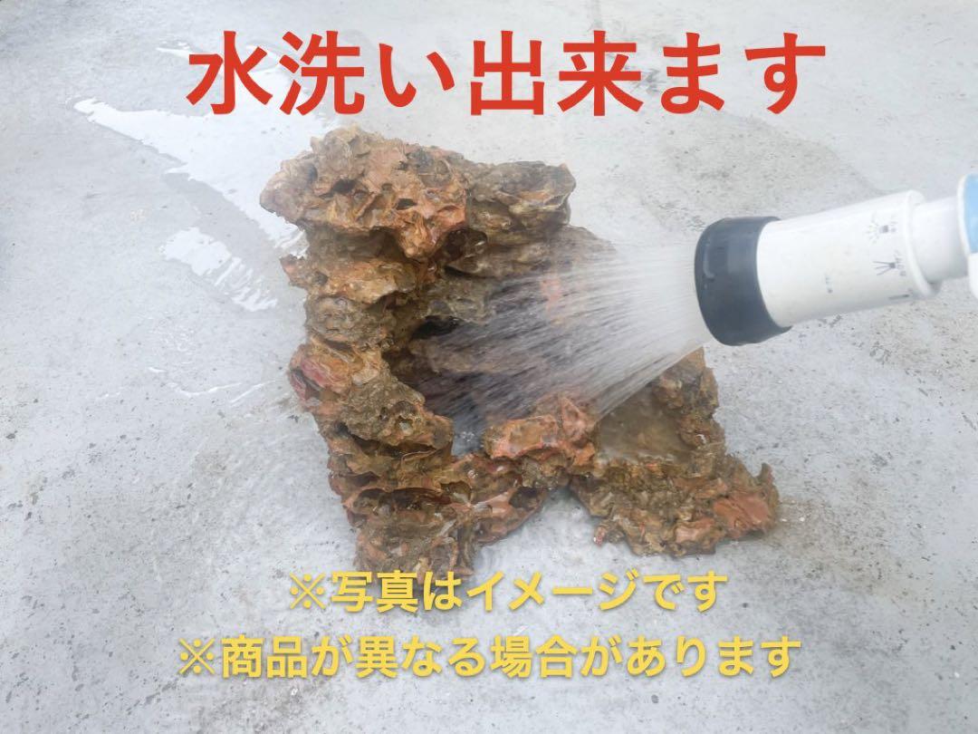 爬虫類用　本格派ロックシェルター(レオパ　ニシアフ)
