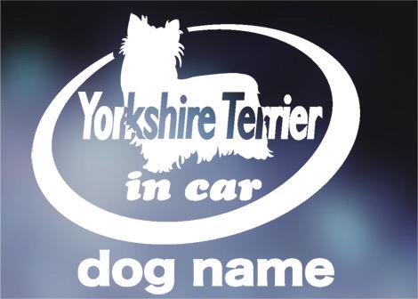 ヨークシャーテリア in carステッカー、犬ステッカー