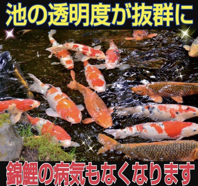 水槽の水が綺麗になります 有害物質を強力抑制し透明度が抜群に KkDzF-m32302175048 ヴァルナミニ 安い日本製