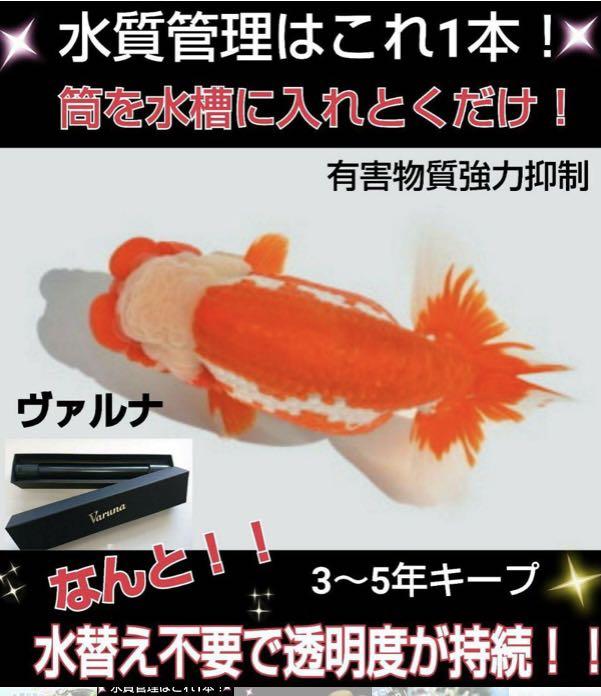 水槽の水が綺麗になります 有害物質を強力抑制し透明度が抜群に KkDzF-m32302175048 ヴァルナミニ 安い日本製