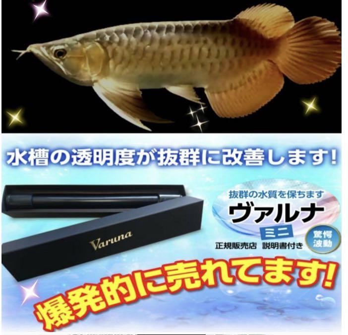 水槽の水が綺麗になります 有害物質を強力抑制し透明度が抜群に KkDzF-m32302175048 ヴァルナミニ 安い日本製
