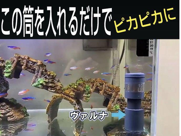 水槽の水が綺麗になります 有害物質を強力抑制し透明度が抜群に KkDzF-m32302175048 ヴァルナミニ 安い日本製