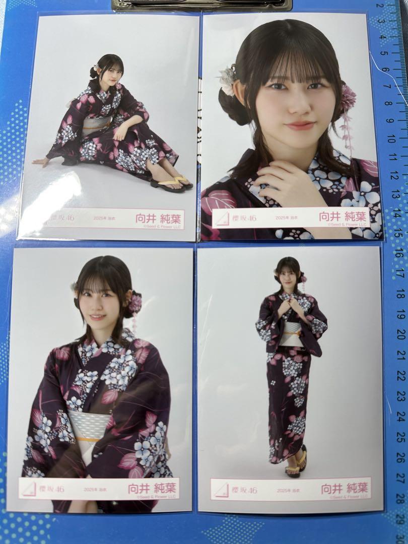 櫻坂46 生写真 向井純葉 2025年 浴衣 4種コンプ1 - メルカリ