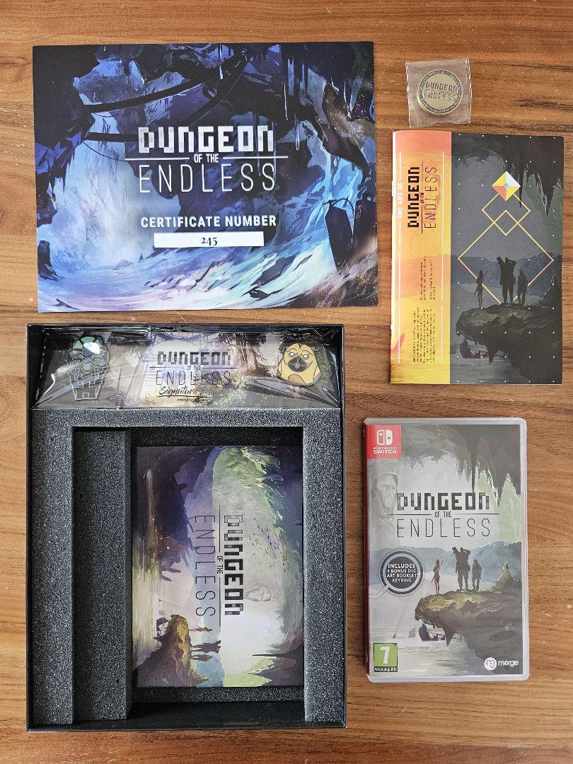 Nintendo Switch Dungeon of the Endless Signature Edition