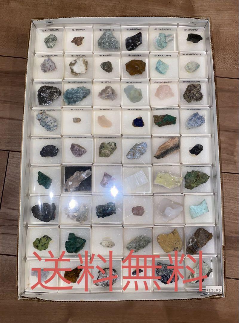 早乙女太一 サイン色紙