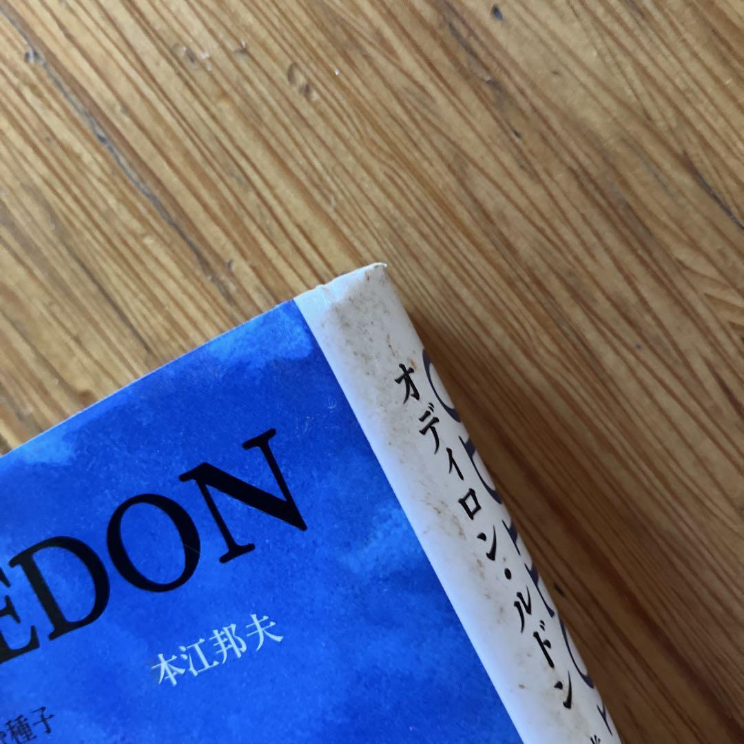 オディロン・ルドン 光を孕む種子/みすず書房/本江邦夫（単行本） オディロン・ルドン | 光を孕む種子 | みすず書房