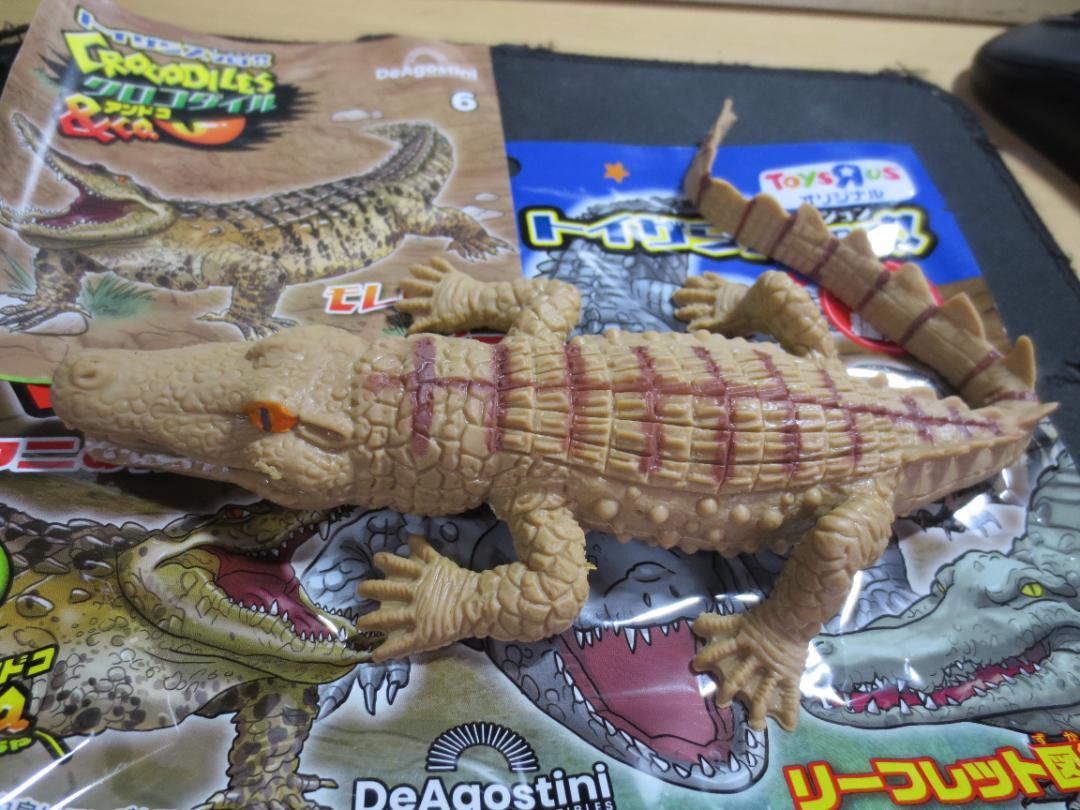 【新品未開封12袋】新商品 クロコダイルアンドコー　CROCODILES&co 新品未開封】クロコダイル＆co. モレレットワニ - メルカリ
