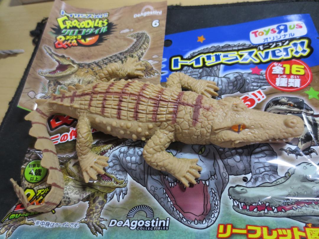 トイザらス限定 クロコダイル&Co.アンドコ モレレットワニ 鰐