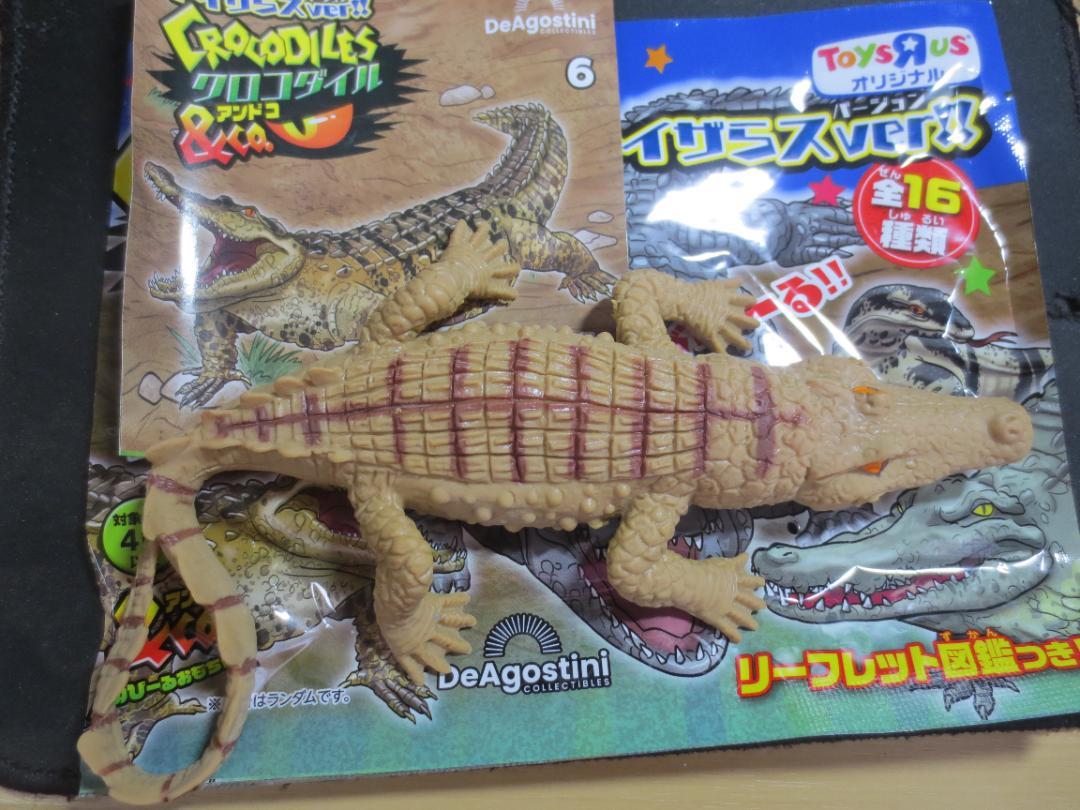 クロコダイル＆Ｃｏ.（アンドコ） トイザらス限定ver 12パック入り クロコダイル＆Co.（アンドコ） トイザらス限定ver 12パック