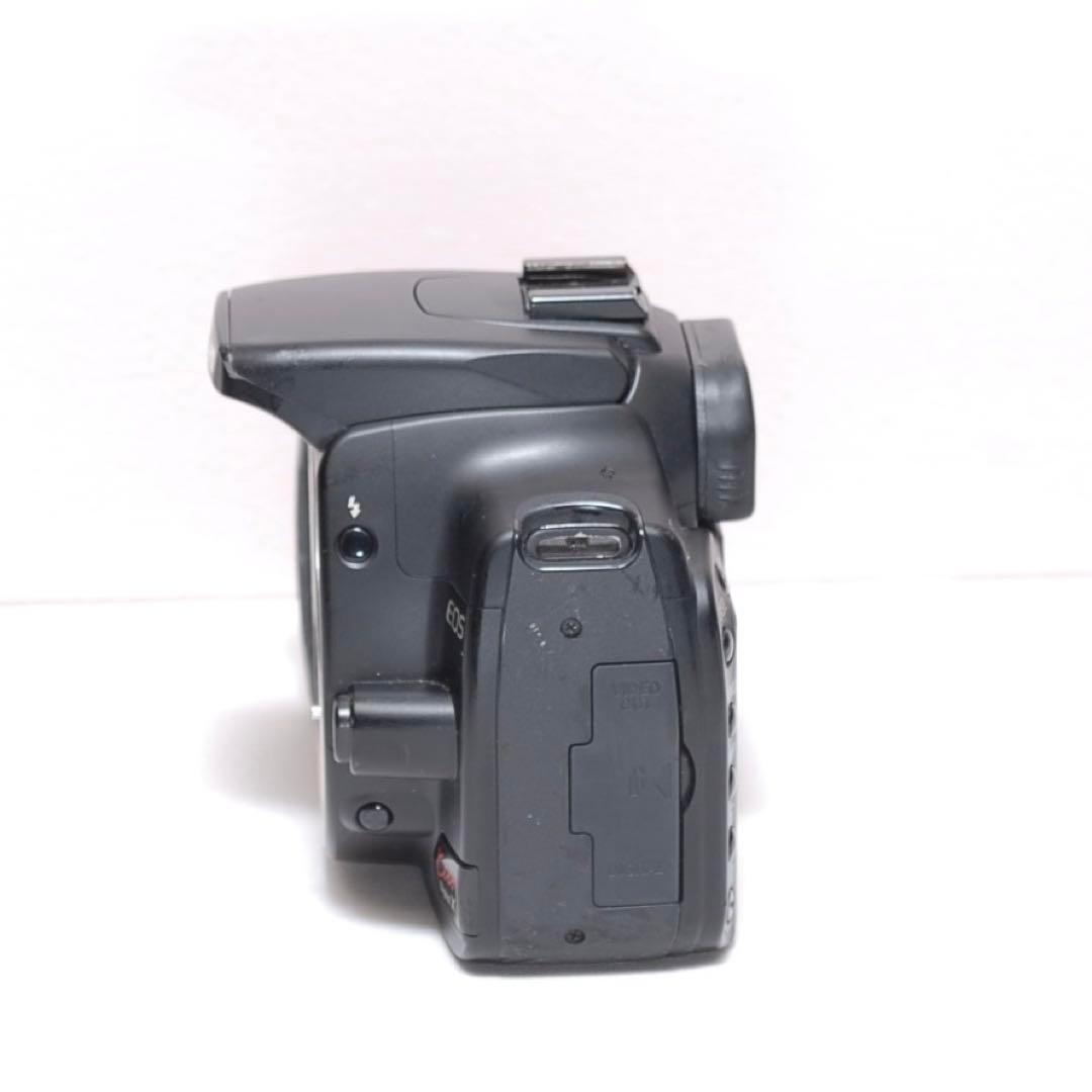 ✨初心者向け✨Canon Kiss digital X✨シングルレンズ✨