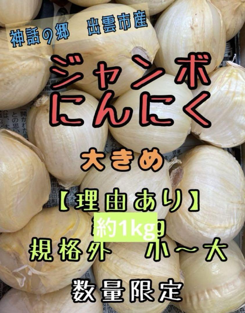 【理由あり】島根県　出雲市産　ジャンボにんにく　生にんにく　バラ約9.5kg 理由あり】島根県 出雲市産 ジャンボにんにく 生にんにく バラ約