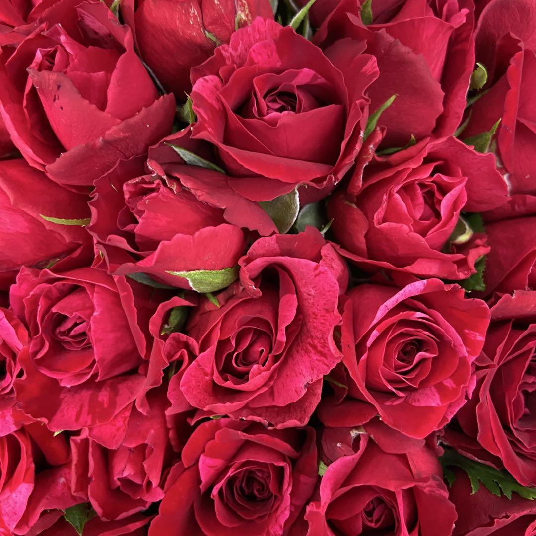 ＊赤バラの花束＊　30㎝ ✖️60本　ラッピング込み　還暦・プロポーズ・誕生日など 赤バラの花束＊ 30㎝ ✖️60本 ラッピング込み 還暦・プロポーズ