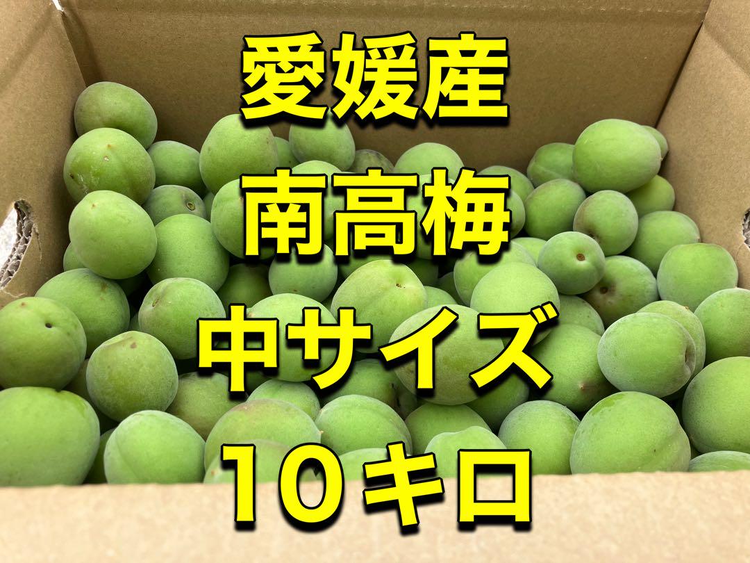 愛媛産 南高梅 中サイズ 10キロ