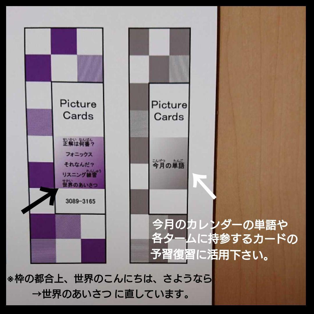 国産限定品 ペッピーキッズクラブ ピクチャーカード収納袋&ラベル&ファイル25冊 フルセット fQi7c-m32321589540 大得価100%新品