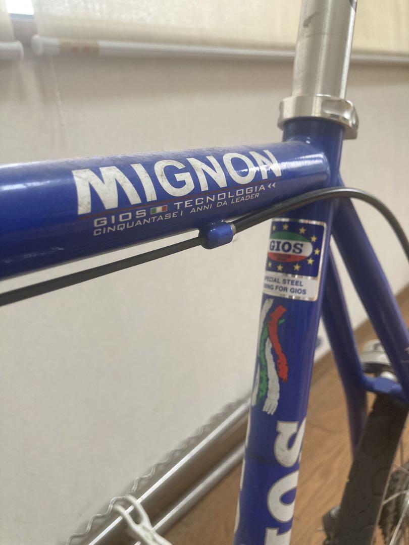 タイヤ・ホイール GIOS