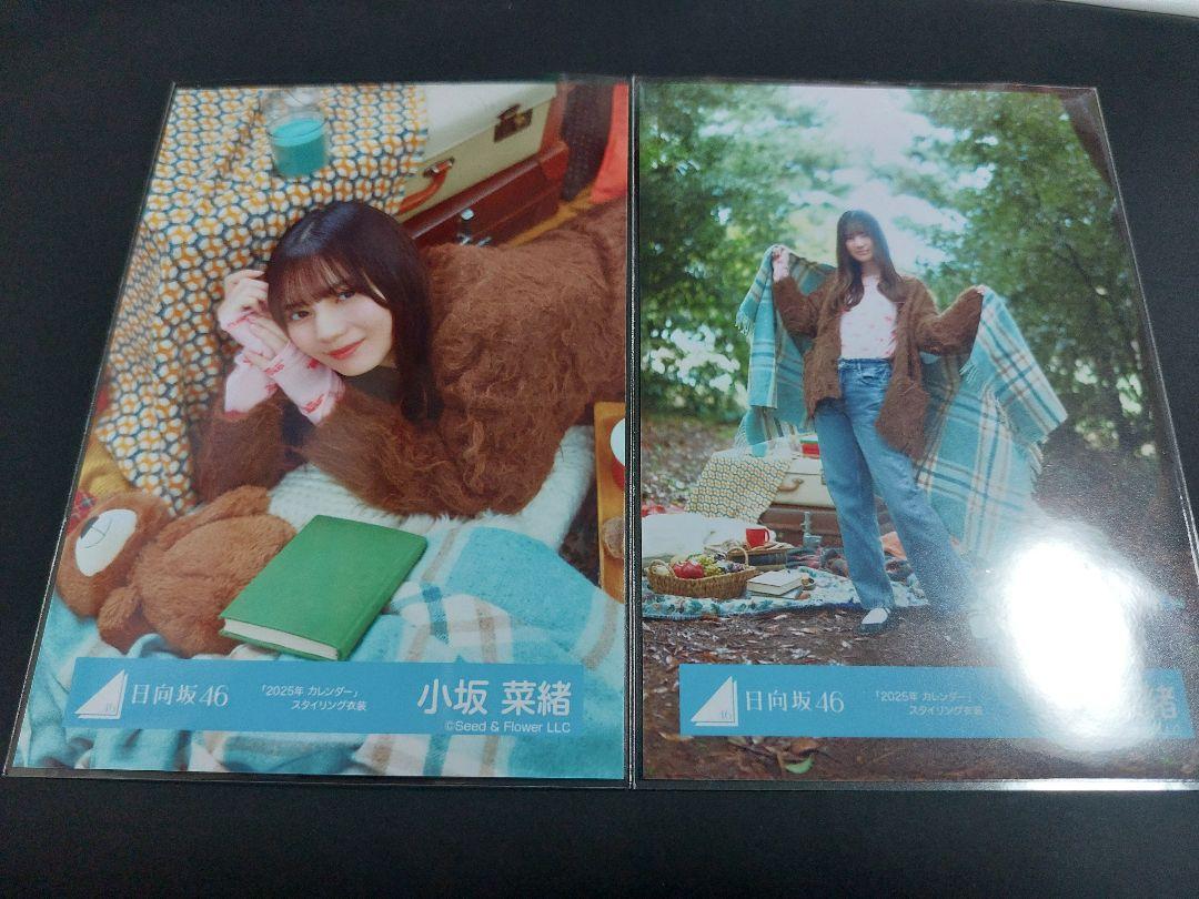 日向坂46 小坂菜緒 2025年カレンダー コンプ 生写真 日向坂46 生写真 2025年 カレンダースタイリング衣装 コンプ