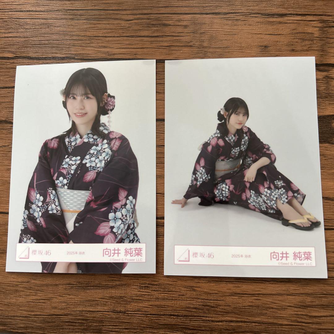 櫻坂46 向井純葉 生写真 - メルカリ
