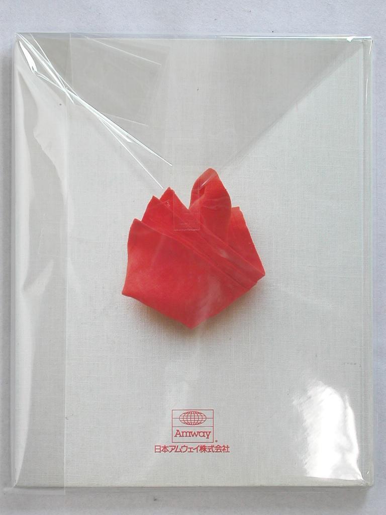 料理本とスクラブバッズ1個付き IH対応品