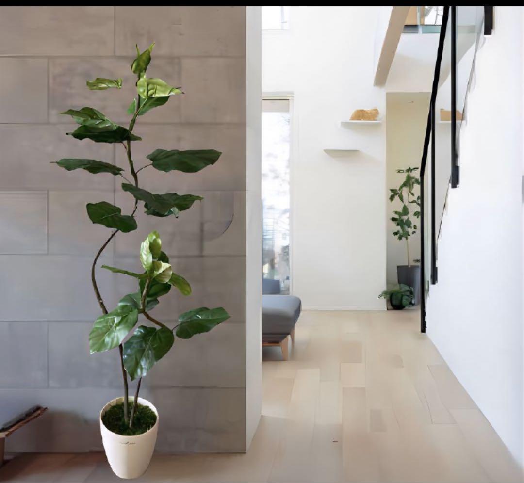 光触媒　人工観葉植物　フェイクグリーン　クネクネウンベラータwa 光触媒 人工観葉植物 フェイクグリーン クネクネウンベラータwa