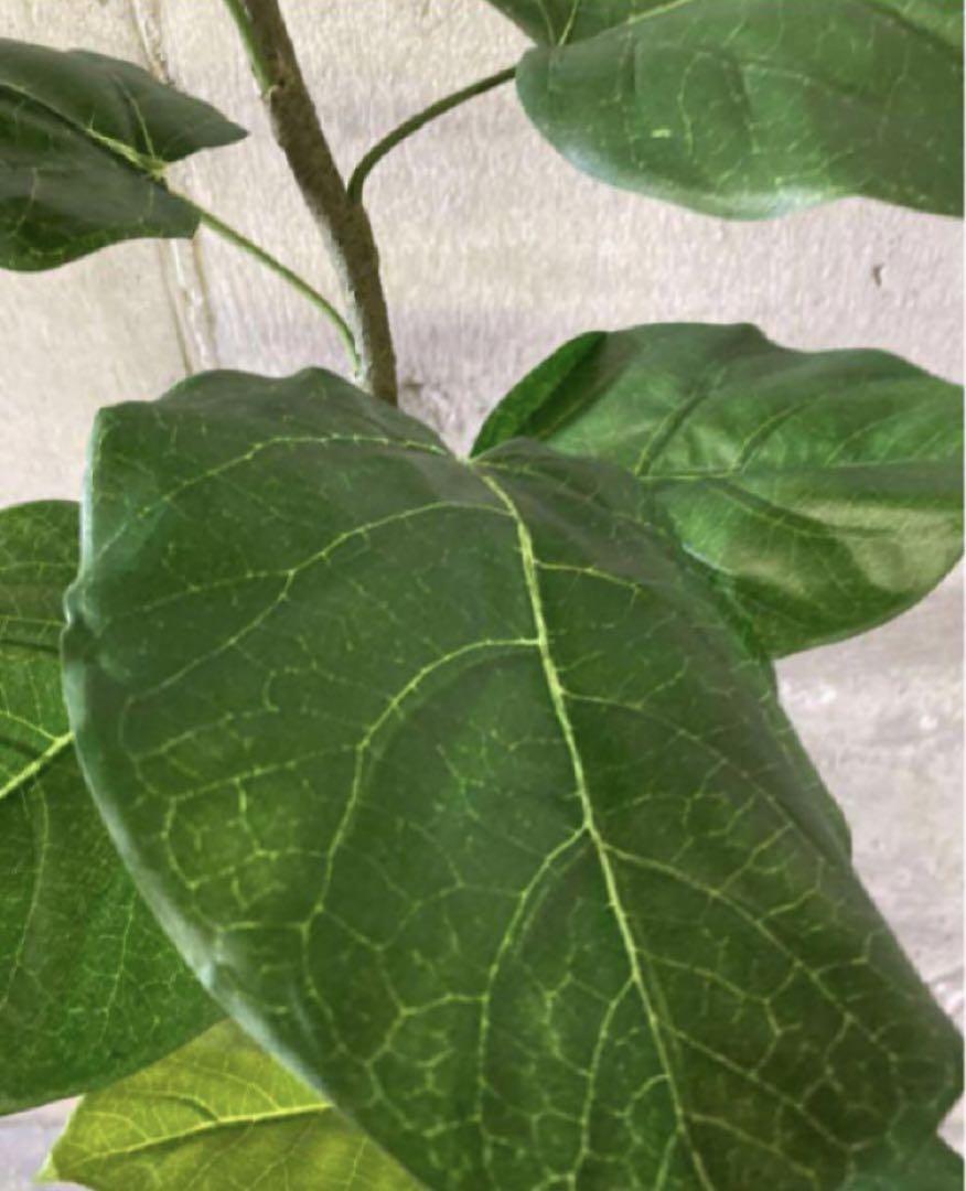 光触媒 人工観葉植物 フェイクグリーン クネクネウンベラータwa