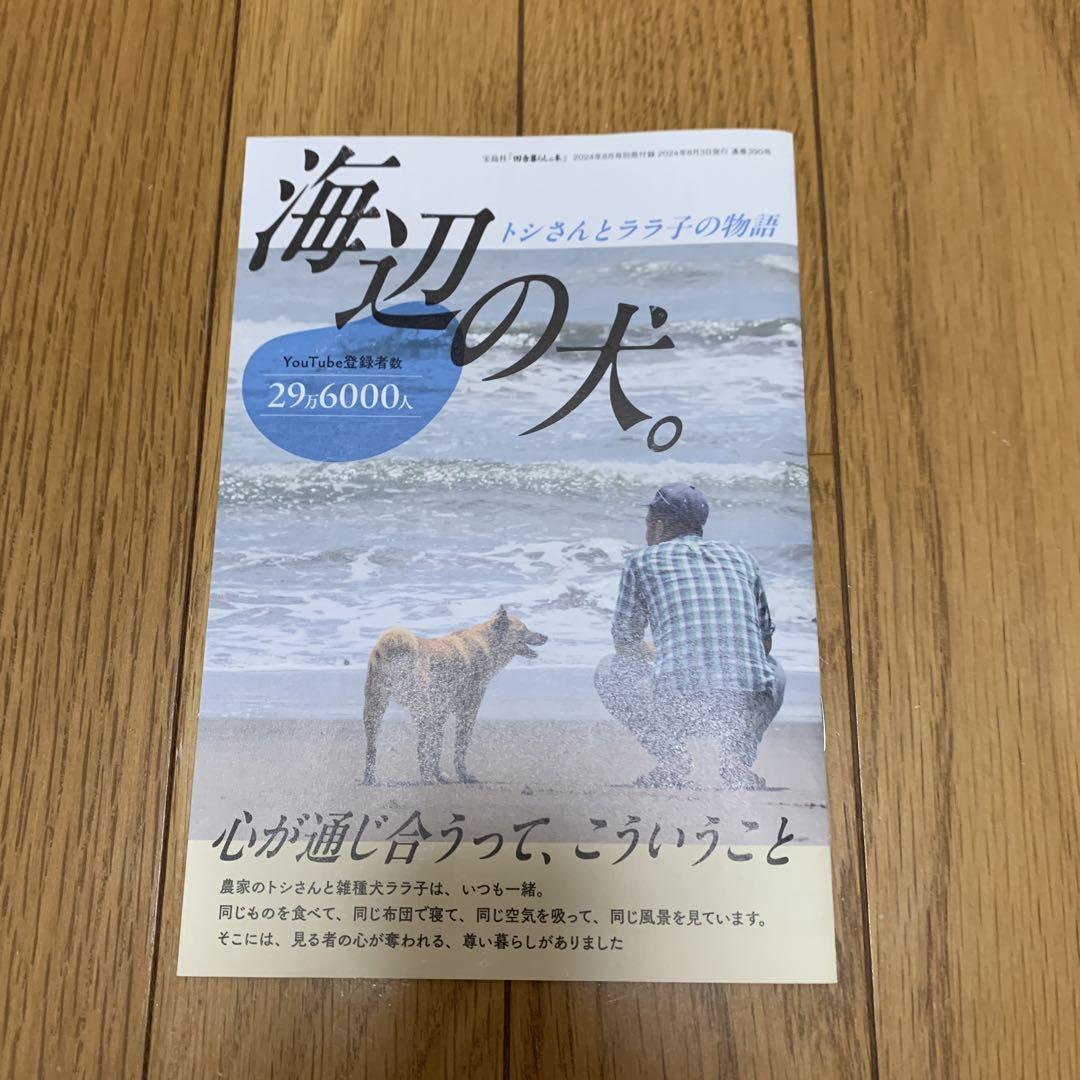 田舎暮らし　海辺の犬　別冊　ララ子